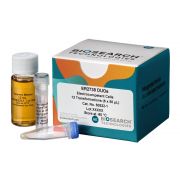 ER2738 Electrocompetent Cells 24 rxns (DUOs) -80º C