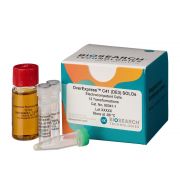 OverExpress™ C41 (DE3) Electrocompetent Cells 12 rxns (SOLOs) -80º C