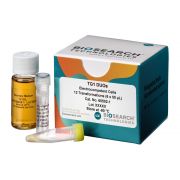 TG1 Electrocompetent Cells 12 rxns (DUOs) -80º C