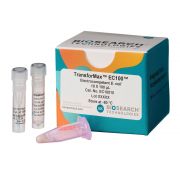 TRANSFORMAX EC100 ELECTROCOMPETENT E. COLI 20 rxns -80º C
