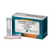 TRANSFORMAX EC100D PIR-116 ELECTROCOMPETENT E. COLI 10 rxns -80º C