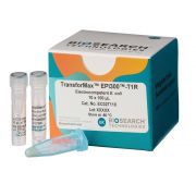 TRANSFORMAX EPI300-T1R ELECTROCOMPETENT E. COLI 20 rxns -80º C