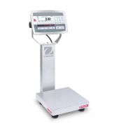 Bench Scale, D52XW5WQS6