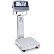 BENCH SCALE I-D61PW5WQS6