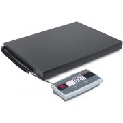 Shipping Scale i-C31M75L AM