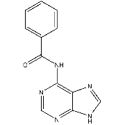 N6-BENZOYLADENINE Storage Temp: 2-8 C
