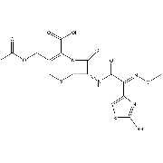 CEFOTAXIME SOLUTION(250 MG/ML) Storage Temp: -20 C