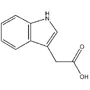 INDOLE-3-ACETIC ACID SOLUTION Storage Temp: -20 C