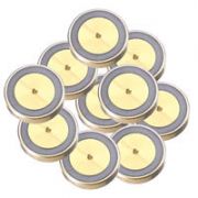 Gold Plated Inlet Seal Dual Vespel Ring, 0.8mm, for Thermo 1300 and 1310 GCs, 10-pk