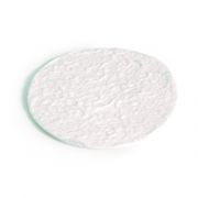 Cellulose Filters, for ASE 200, Pack of 100 Replaces Dionex PN 049458
