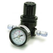 Regulator, Minicyl 1/8" SS Female Fittings EA
