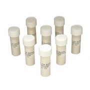 YSI Lactose Buffer (8 vials - 4 liters).