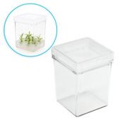 Plant Tissue Culture Box, PC box w/ PP Lid, Autoclavable, 3 x 3 x 4in. (75 x 75 x 100mm), 25/pk
