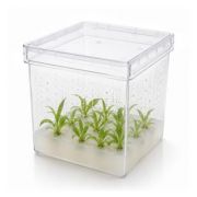 Plant Tissue Culture Box, PC Box w/ PC Lid, Autoclavable, 4.75 x 4.75 x 4.75in. (120 x 120 x 120mm), 10/pk