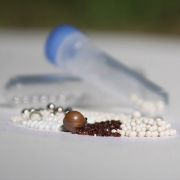 Tubes (empty) for homogenization beads; pack of 50 with caps and sealing ring.