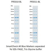 SmartCheck™ Blue Protein Marker, 10 bands 9-180 kDA, 2x250ul