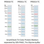 SmartCheck™ Tri-color Protein Marker, 10 bands 9-180 kDA, 2x250ul