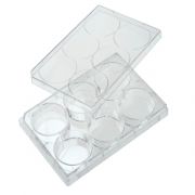 CellTreat 6 Well Non-treated Plate with Lid, Individual, Sterile, Case of 100.