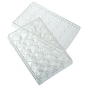 CellTreat 24 Well Non-treated Plate with Lid, Individual, Sterile, Case of 100.