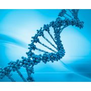 NxSeq® AmpFREE Low DNA Library Kit 12 RXN