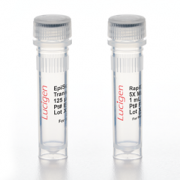 Episcript RNase H- Reverse Transcriptase only, 25,000 Units