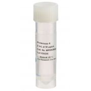 Proteinase K, 2 mL