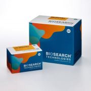 sbeadex™ Lightning Cell DNA Kit (960)