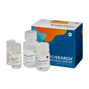 sbeadex Lightning Nucleic Acid Purification Core Kit A (100 preps)