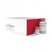 Lucigen QuickExtract™ DNA Extraction Solution 1.0; 5mL (10 Extractions).