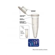 0.5ml Graduated Tube With Attached Flat Cap, Mixed Polypropylene - PK/1000 Certified free of detectable RNase, DNase, DNA, and pyrogens.