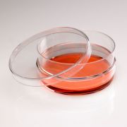 CytoOne 100 x 20 mm Tissue Culture Dish, Sterile, 300pcs/unit