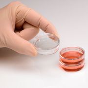 CytoOne 35 x 10 mm Tissue Culture Dish, Sterile, 300pcs/unit