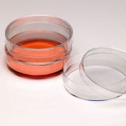 CytoOne 60 x 15 mm Tissue Culture Dish, Sterile, 300pcs/unit
