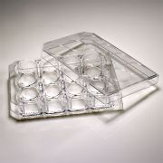 CytoOne 6-Well Plate with Lid Flat Bottom, Tissue Culture Treated, Sterile, 50pcs/unit