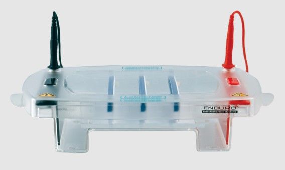 Enduro 15.10 Horizontal Gel Box 15 X 10cm Mandel Scientific