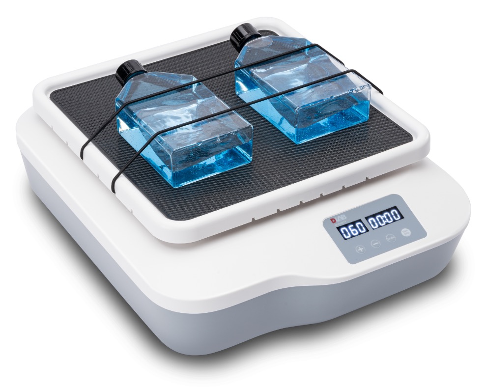 Salt and Pepper Shaker Set (Clear Glass) : Amazon.com.au: Kitchen & Dining